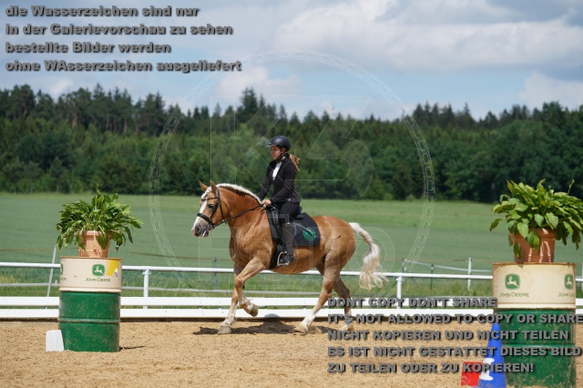 s_K3F04487.JPG